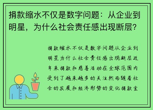 捐款缩水不仅是数字问题：从企业到明星，为什么社会责任感出现断层？