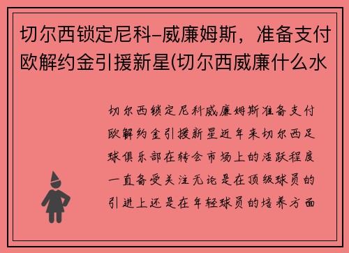 切尔西锁定尼科-威廉姆斯，准备支付欧解约金引援新星(切尔西威廉什么水平)