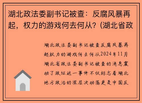 湖北政法委副书记被查：反腐风暴再起，权力的游戏何去何从？(湖北省政法委副书记)