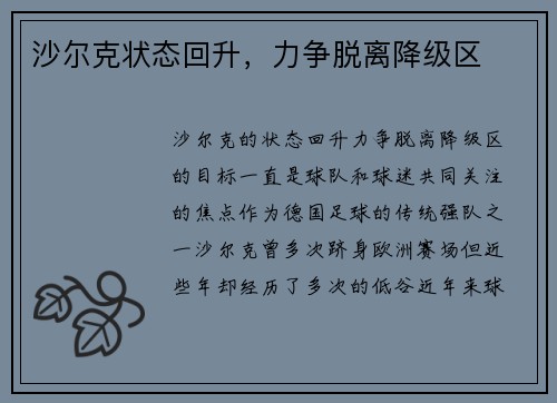 沙尔克状态回升，力争脱离降级区